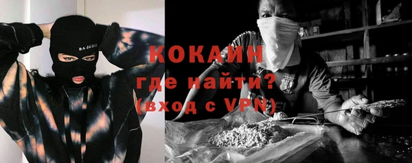 крисы Абаза