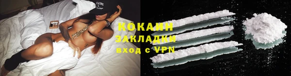 крисы Абаза