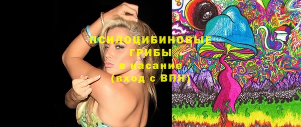 трава Абинск