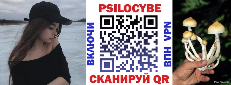 как найти закладки Нижняя Тура Псилоцибиновые грибы ЛСД